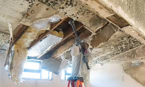 Best Water Damage & Mold Remediation  in Kettering, OH